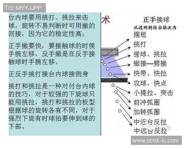 科学乒乓球训练方法探讨与配合技巧提升策略分享 科学乒乓球训练方法探讨与配合技巧提升策略分享