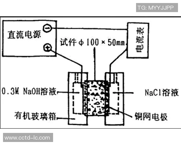 深圳排球队边路渗透战术分析及其对比赛结果的影响探讨
