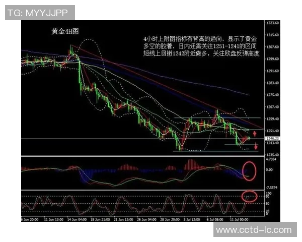 独家解析上海羽毛球队比赛经验的优势与不足对比分析