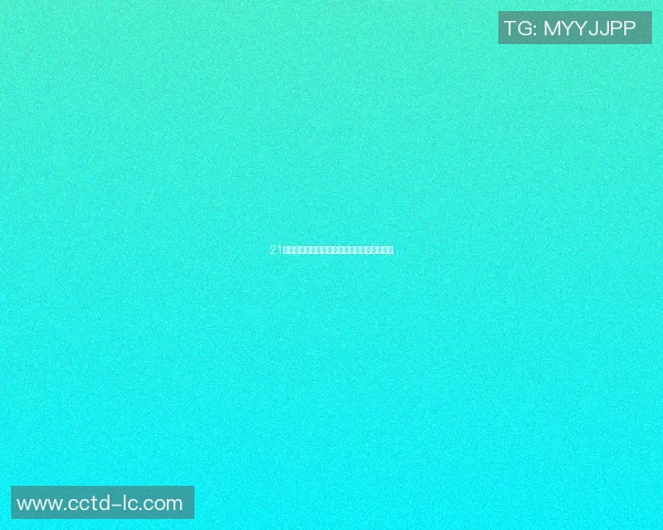 21号球员的传奇之路足球明星背后的奋斗与荣耀