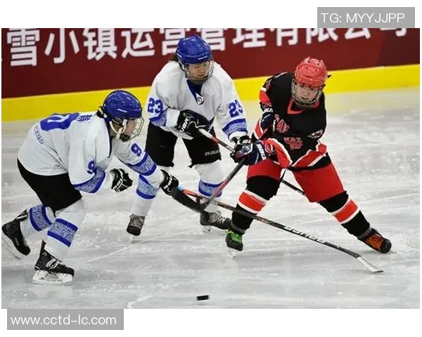 全国锦标赛分析：北京篮球队球员个人能力的精彩展示与未来展望